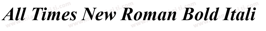 All Times New Roman Bold Italic字体转换